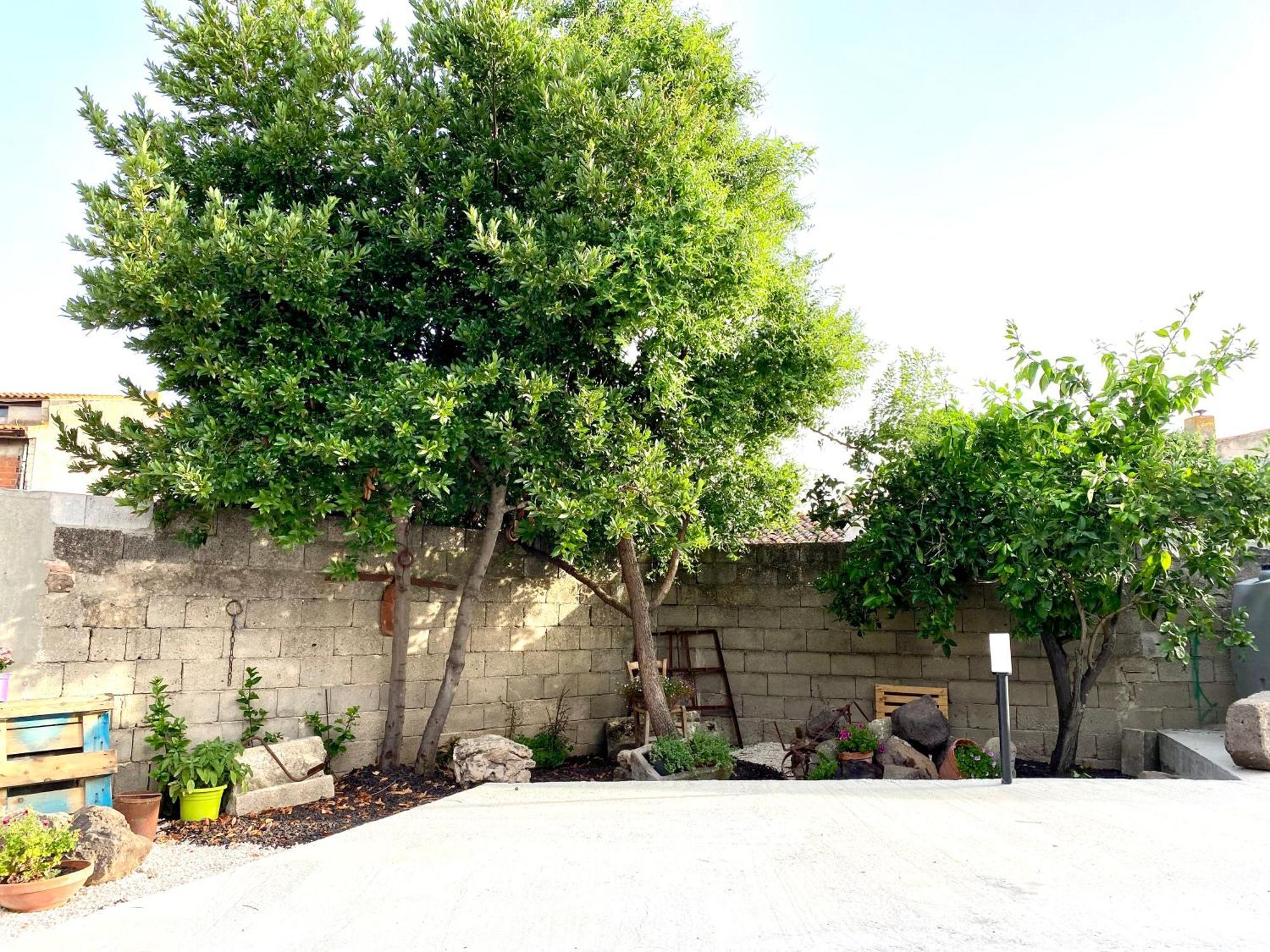 Apartament Casa Mora San Vero Milis Zewnętrze zdjęcie