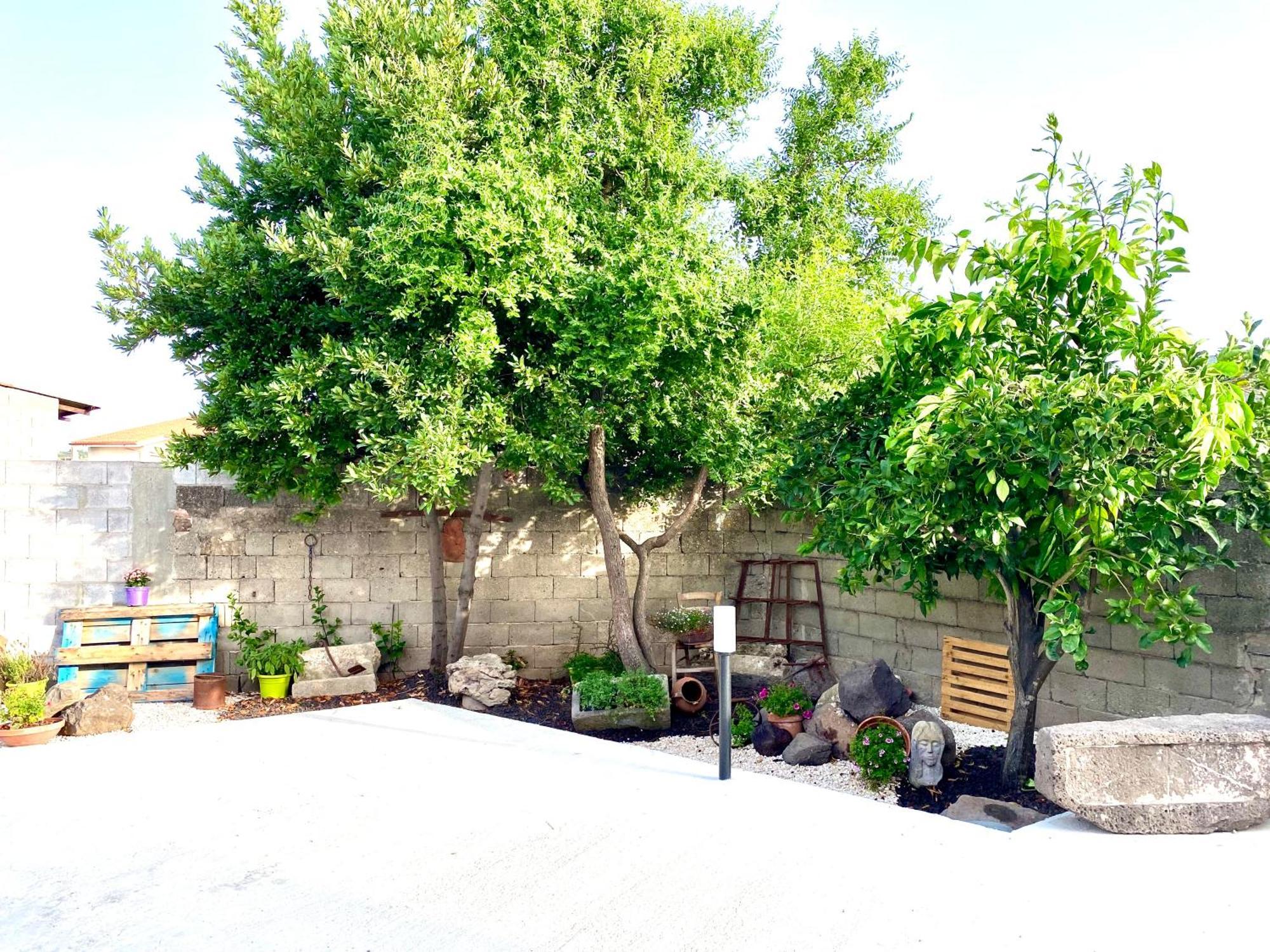 Apartament Casa Mora San Vero Milis Zewnętrze zdjęcie